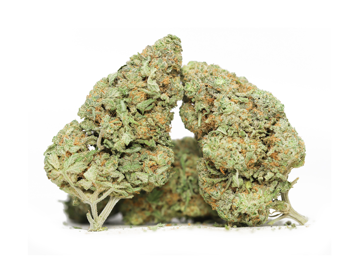 Dutchberry oz special 49.jpg Dutchberry oz special 49.jpg