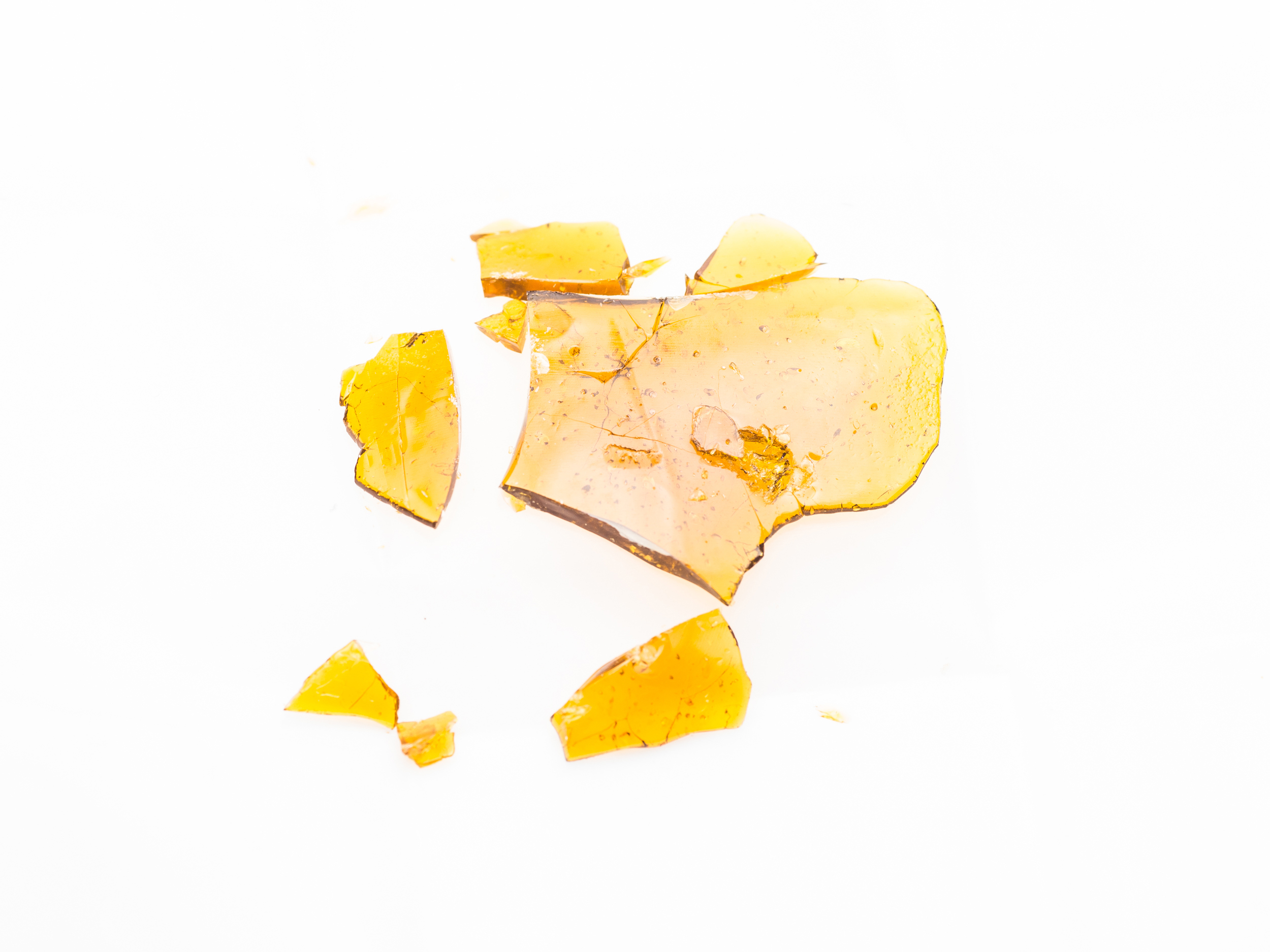 Exclusive extracts.jpg Exclusive extracts.jpg