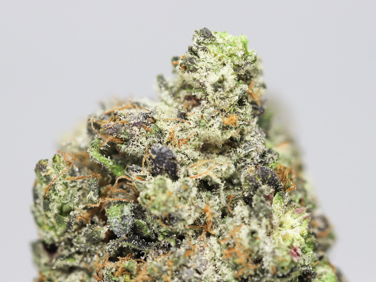 FIRE OG AA CLOSE UP 1.jpg FIRE OG AA CLOSE UP 1.jpg