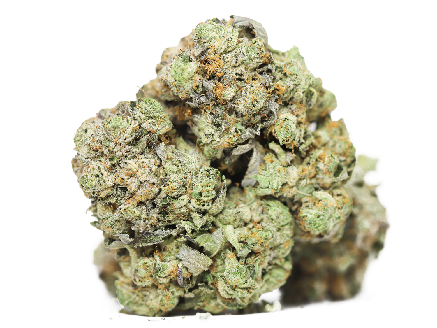 FIRE OG AAA RESTOCK copy.jpg FIRE OG AAA RESTOCK copy.jpg