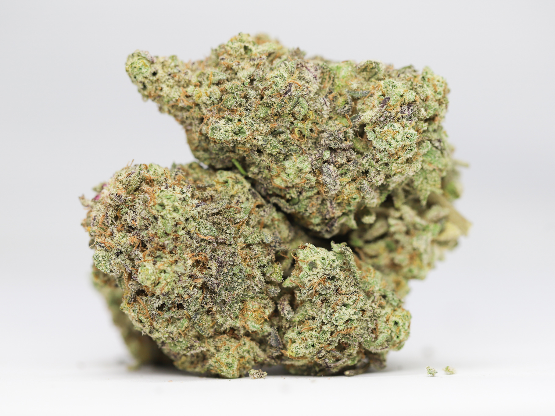 FRUIT LOOPS AA RESTOCK 2.jpg FRUIT LOOPS AA RESTOCK 2.jpg