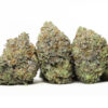 Island Sweet Skunk AA 2 G13 AAA oz special 75.jpg