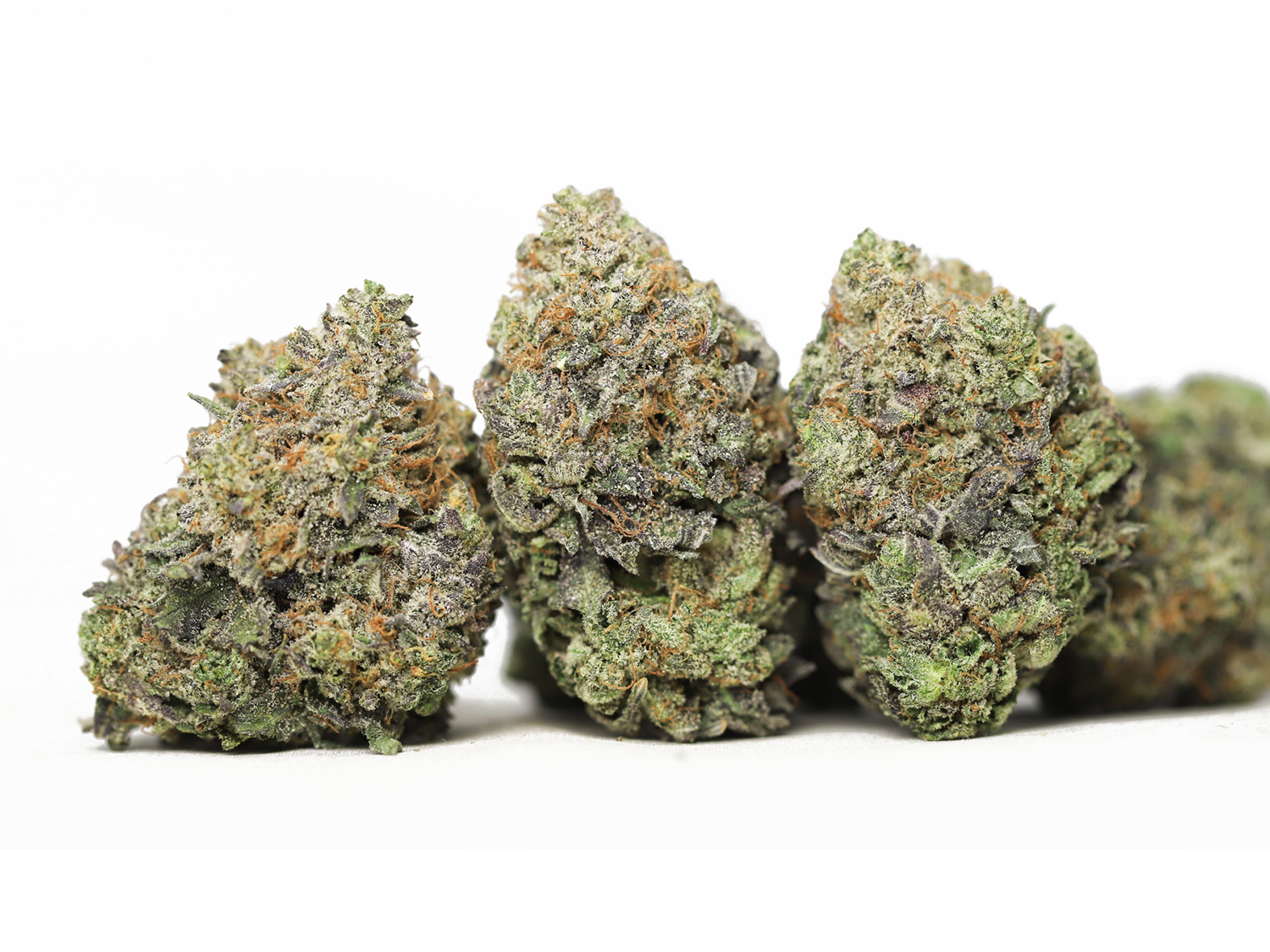 G13 AAA oz special 75.jpg G13 AAA oz special 75.jpg