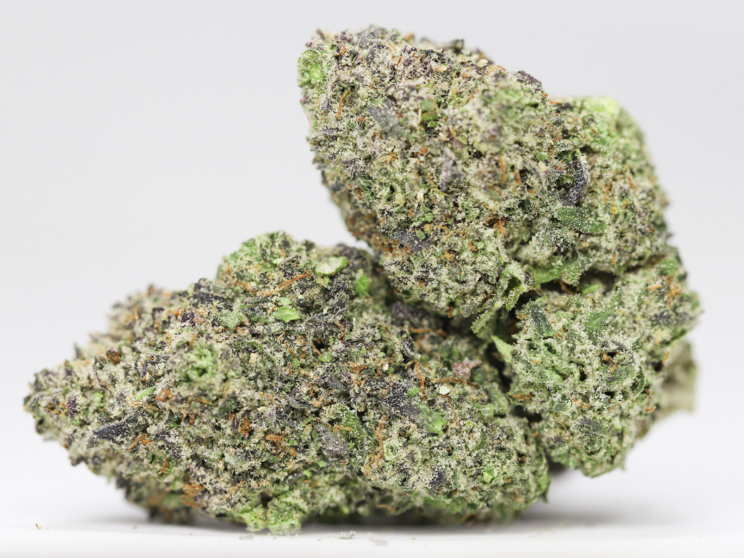 GELATO 33 AAAA RESTOCK 1.jpg GELATO 33 AAAA RESTOCK 1.jpg