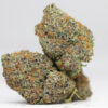Gelato AA 3 GELATO AA RESTOCK 3.jpg