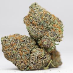 GELATO AA RESTOCK 3.jpg