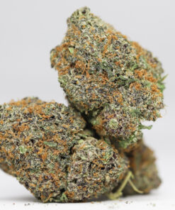 GELATO AA RESTOCK 3.jpg