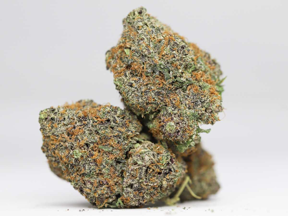 GELATO AA RESTOCK 3.jpg GELATO AA RESTOCK 3.jpg