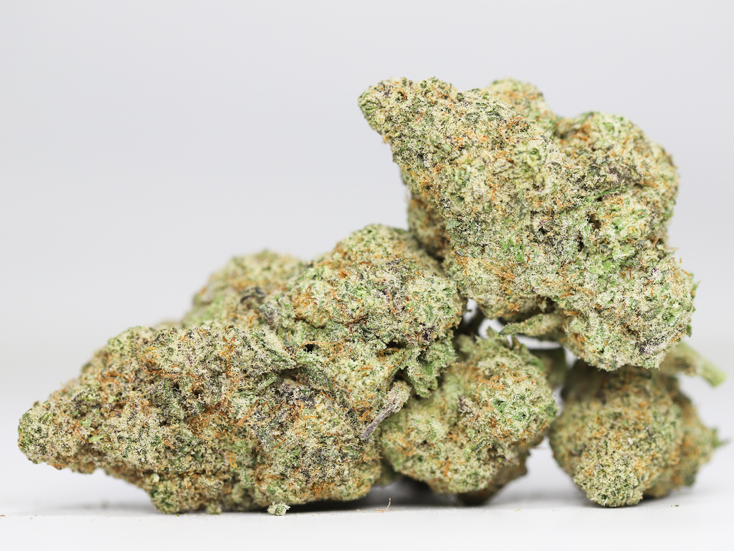 GELATO DREAM AA RESTOCK 1.jpg GELATO DREAM AA RESTOCK 1.jpg