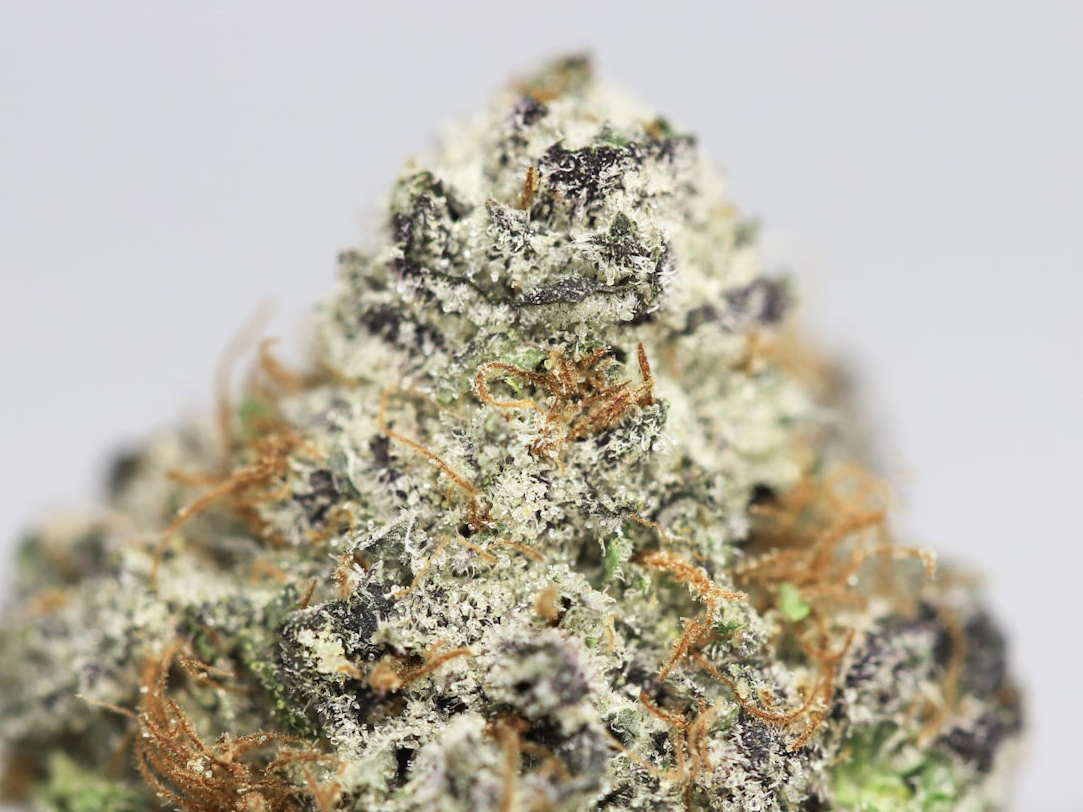 GHOST TRAIN HAZE AAAA CLOSE UP.jpg GHOST TRAIN HAZE AAAA CLOSE UP.jpg