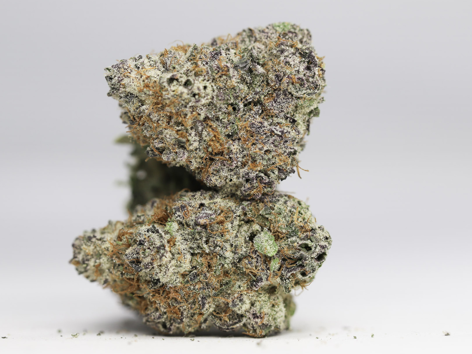 GHOST TRAIN HAZE AAAA RESTOCK.jpg GHOST TRAIN HAZE AAAA RESTOCK.jpg