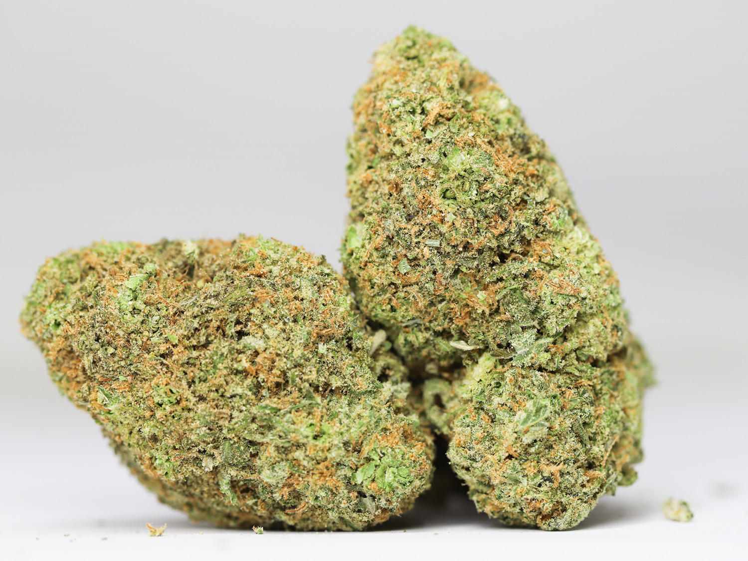 GIRL SCOUT COOKIES AA RESTOCK 6.jpg GIRL SCOUT COOKIES AA RESTOCK 6.jpg