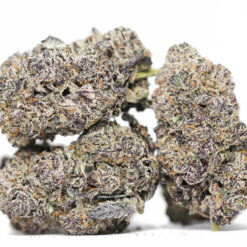 GORILLA GLUE 5 AAAA 1.jpg