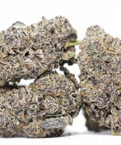 GORILLA GLUE 5 AAAA 1.jpg