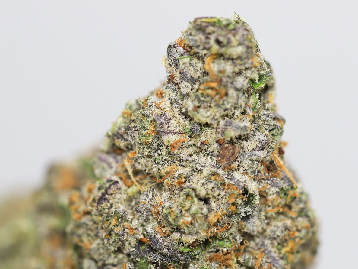 GRAPE LA AAAA CLOSE UP 1.jpg GRAPE LA AAAA CLOSE UP 1.jpg