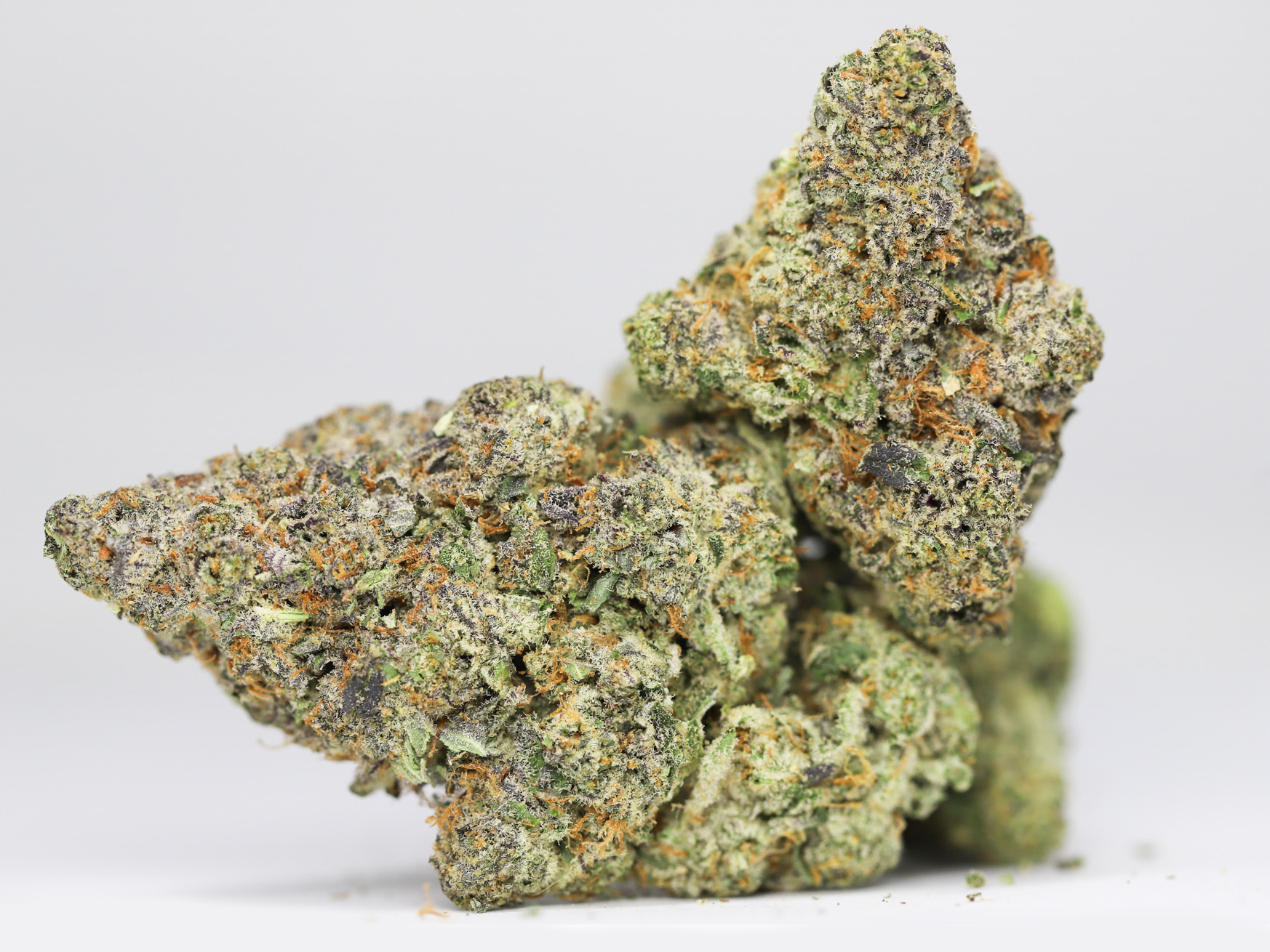 GRAPE LA AAAA RESTOCK 4.jpg GRAPE LA AAAA RESTOCK 4.jpg