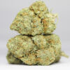 Great White Shark AA 2 GREAT WHITE SHARK AA RESTOCK 5.jpg