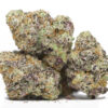 GREAT WHITE SHARK AAA RESTOCK 1.jpg