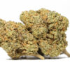 Girl Scout Cookies AAA 1 Girl Scout Cookies AAA restock 1.jpg