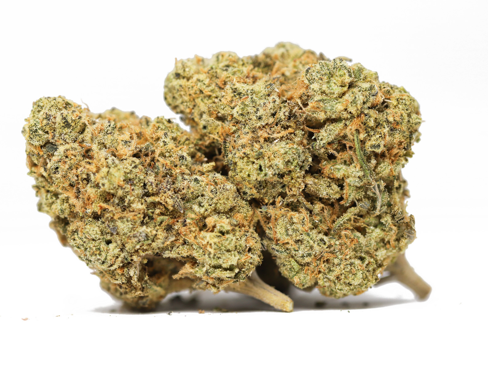 Girl Scout Cookies AAA restock 1.jpg Girl Scout Cookies AAA restock 1.jpg