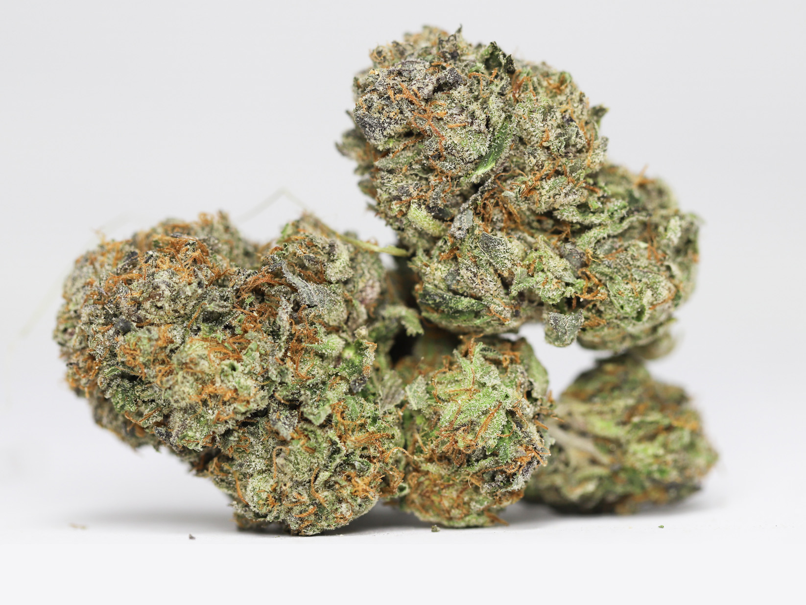 HIGH OCTANE OG AA RESTOCK.jpg HIGH OCTANE OG AA RESTOCK.jpg