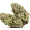 Hawaiian Dream aa.jpg