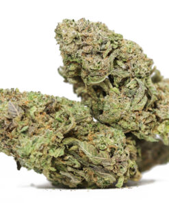 Hawaiian Dream aa.jpg