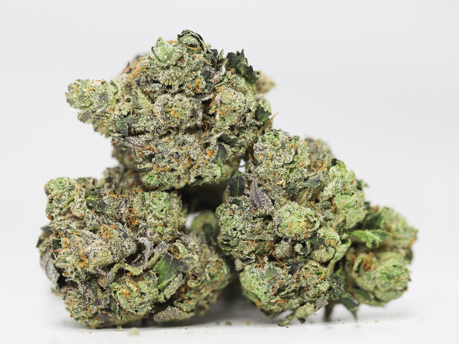 Hindu Kush AAA restock 3.jpg Hindu Kush AAA restock 3.jpg