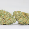Forbidden Fruit AAA 1 IMG 0092.jpg