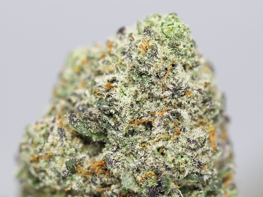 INCREDIBLE HULK AAAA CLOSE UP.jpg INCREDIBLE HULK AAAA CLOSE UP.jpg