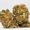 Jamaican Haze AA 2 JAMAICAN HAZE AA RESTOCK 1.jpg