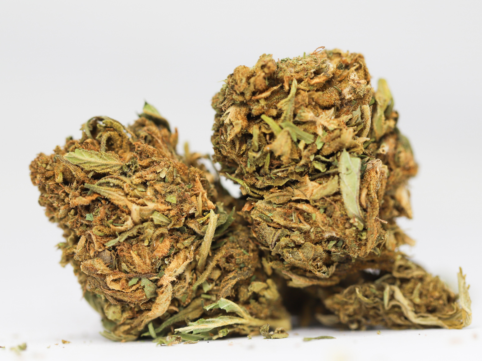 JAMAICAN HAZE AA RESTOCK 1.jpg JAMAICAN HAZE AA RESTOCK 1.jpg