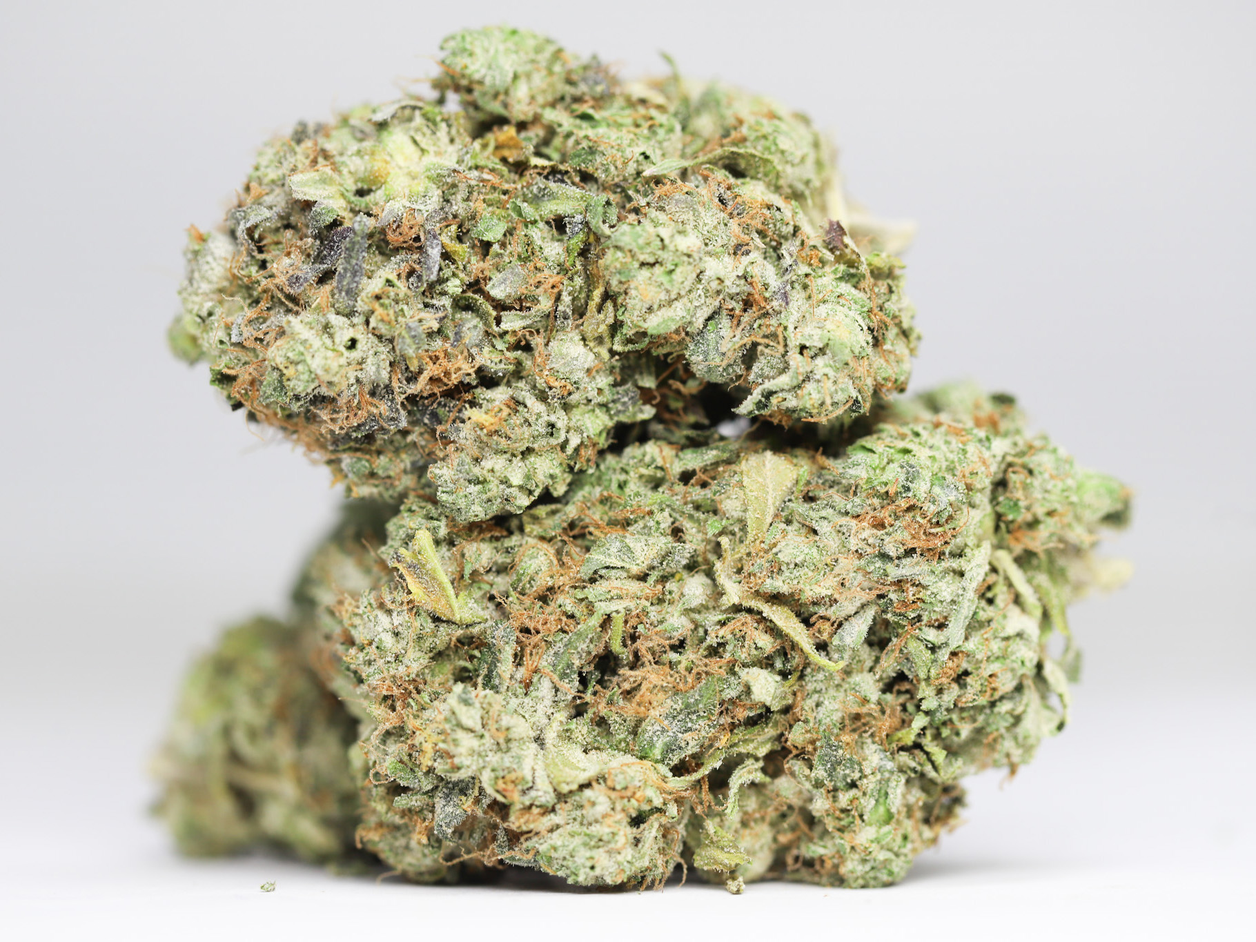 JEDI KUSH AA RESTOCK.jpg JEDI KUSH AA RESTOCK.jpg