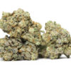 Jungle Cake AA 2 JUNGLE CAKE AA RESTOCK 1.jpg