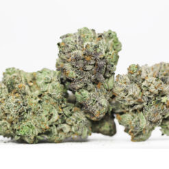 JUNGLE CAKE AAAA RESTOCK 2.jpg