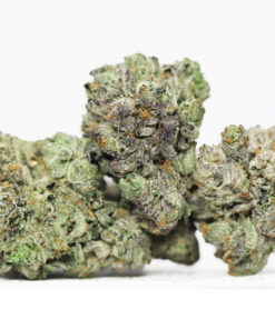 JUNGLE CAKE AAAA RESTOCK 2.jpg