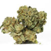 JUNGLE DIAMONDS 38.99 RESTOCK.jpg