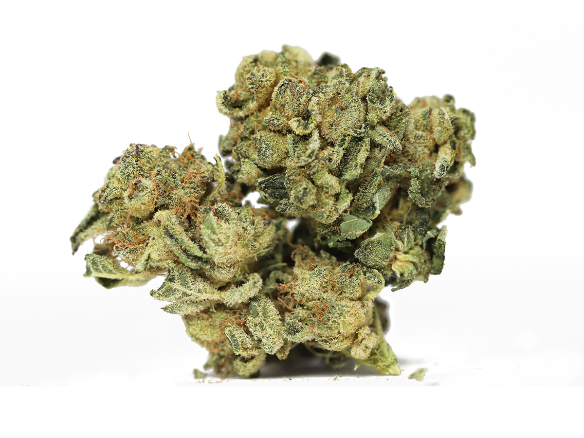 JUNGLE DIAMONDS 38.99 RESTOCK.jpg JUNGLE DIAMONDS 38.99 RESTOCK.jpg