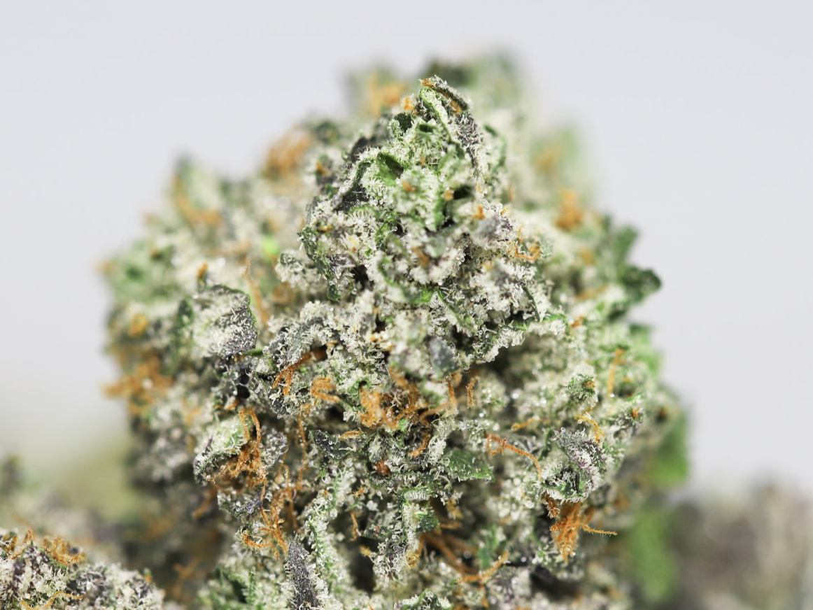KING KONG OG AAA CLOSE UP 2.jpg KING KONG OG AAA CLOSE UP 2.jpg