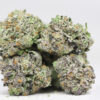 KING KONG OG AAA RESTOCK 1.jpg