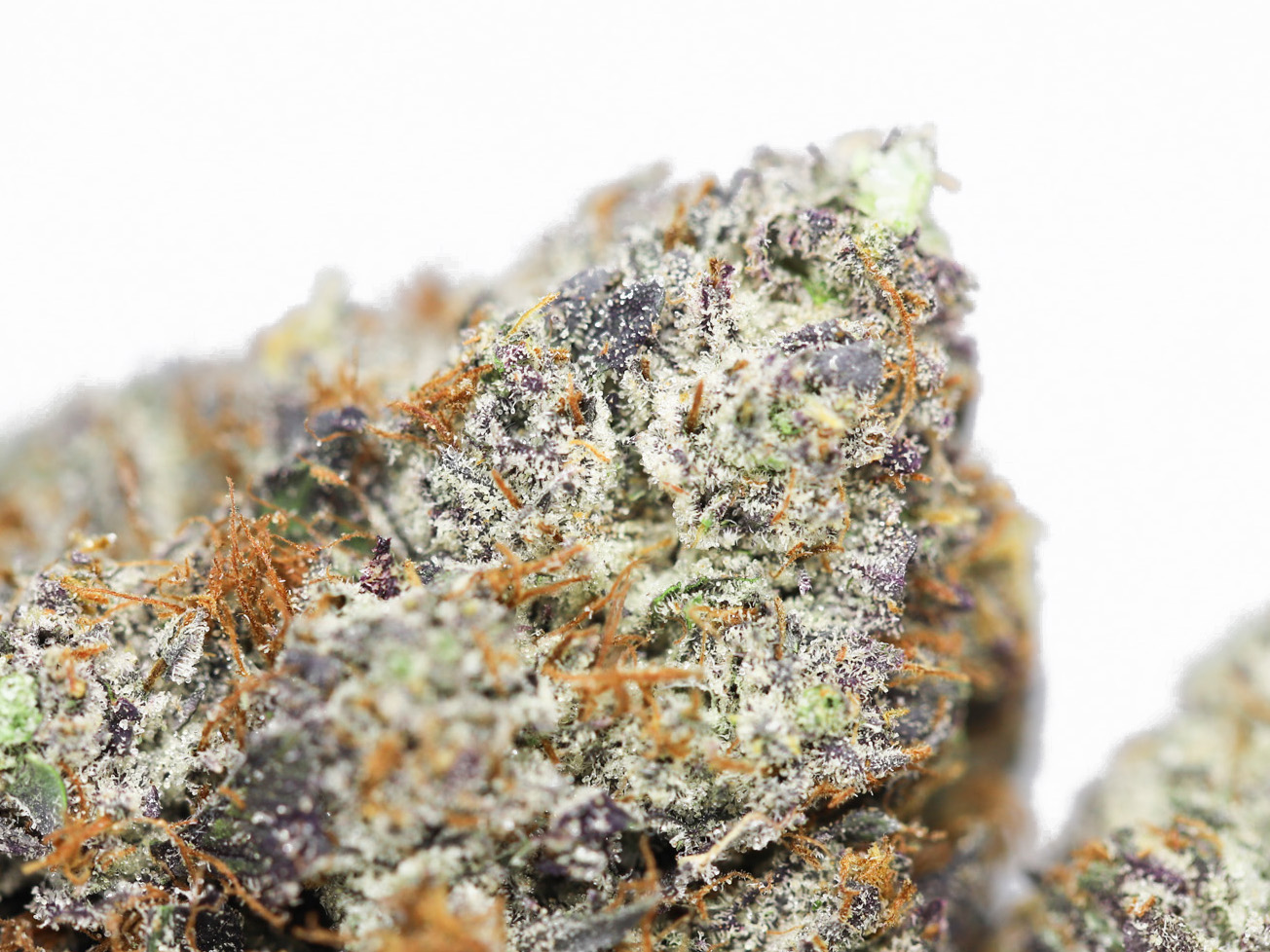 KRFT BOMBSICLE CLOSE UP 2.jpg KRFT BOMBSICLE CLOSE UP 2.jpg
