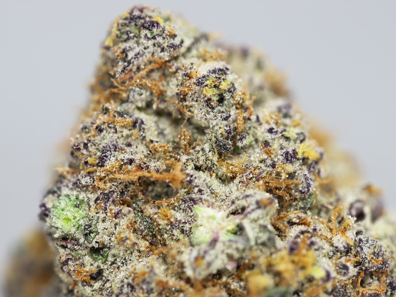 KRFT CANDY X CREAM SODA CLOSEUP.jpg KRFT CANDY X CREAM SODA CLOSEUP.jpg