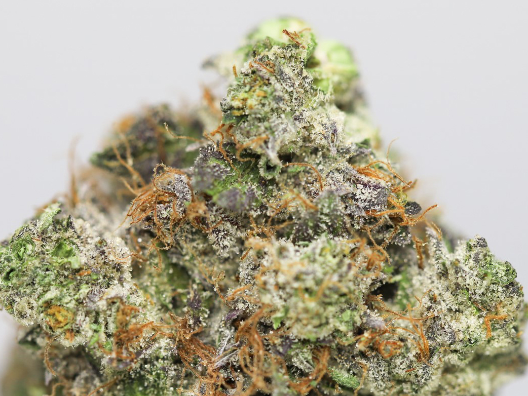 KRFT CREAM PIE KUSH CLOSE UP 1.jpg KRFT CREAM PIE KUSH CLOSE UP 1.jpg
