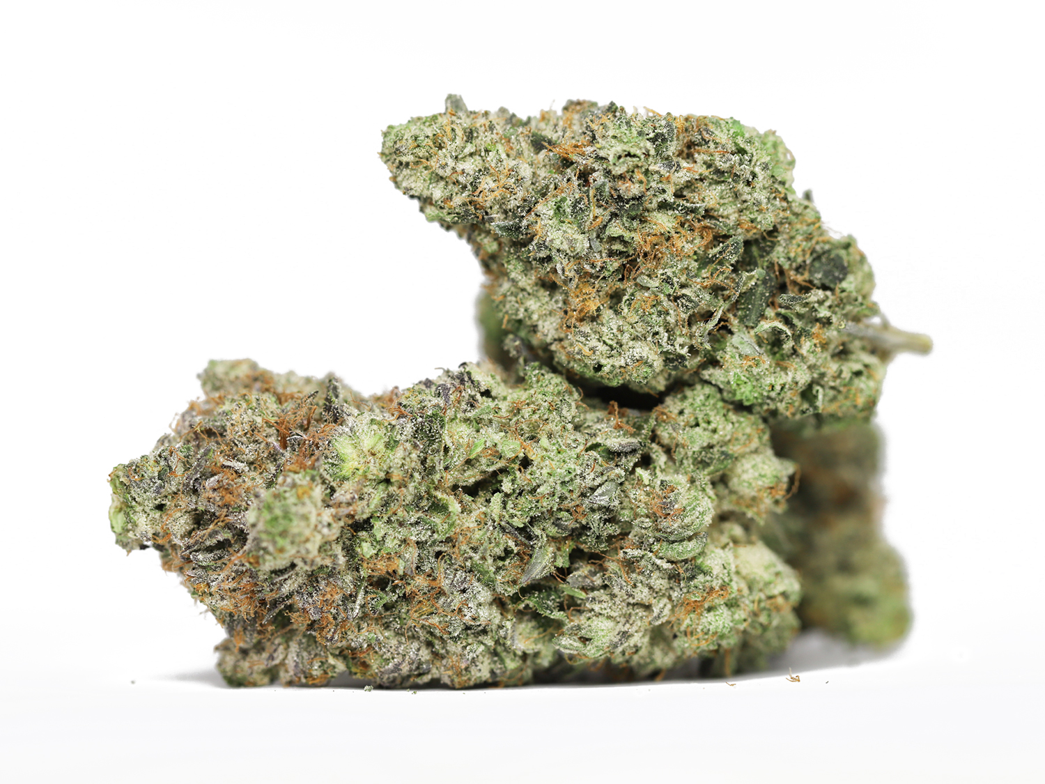 KRFT CREAM PIE KUSH RESTOCK.jpg KRFT CREAM PIE KUSH RESTOCK.jpg