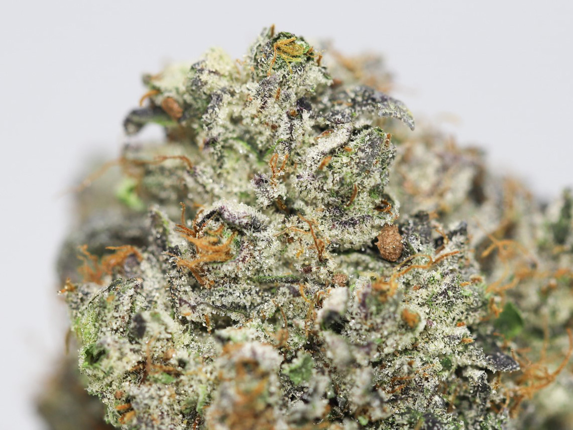 KRFT FROST MONSTER CLOSE UP 2.jpg KRFT FROST MONSTER CLOSE UP 2.jpg
