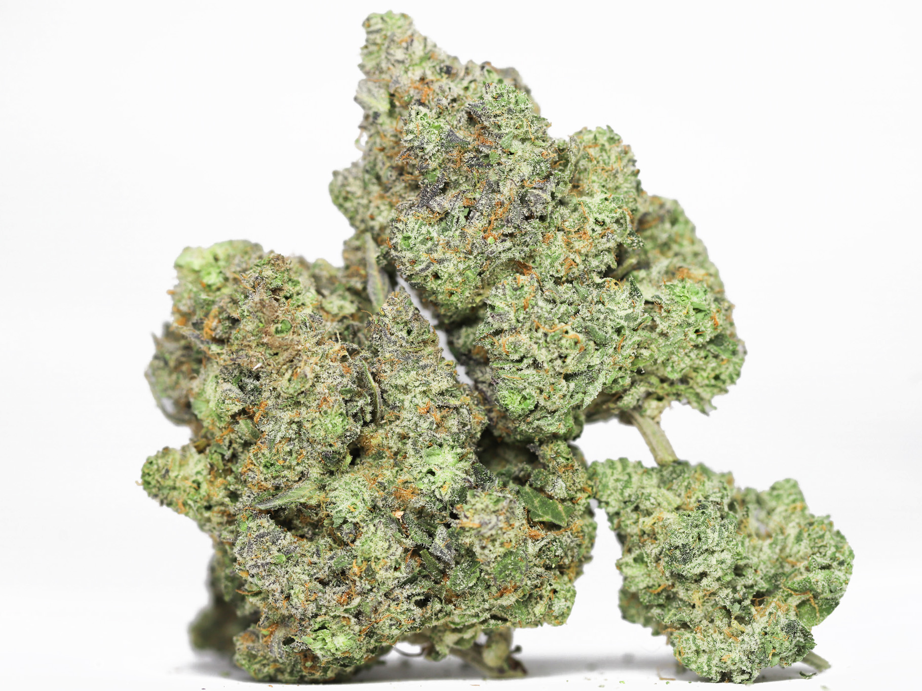 KRFT GREEN APPLE RUNTZ 32 THC CLOSE UP.jpg KRFT GREEN APPLE RUNTZ 32 THC CLOSE UP.jpg