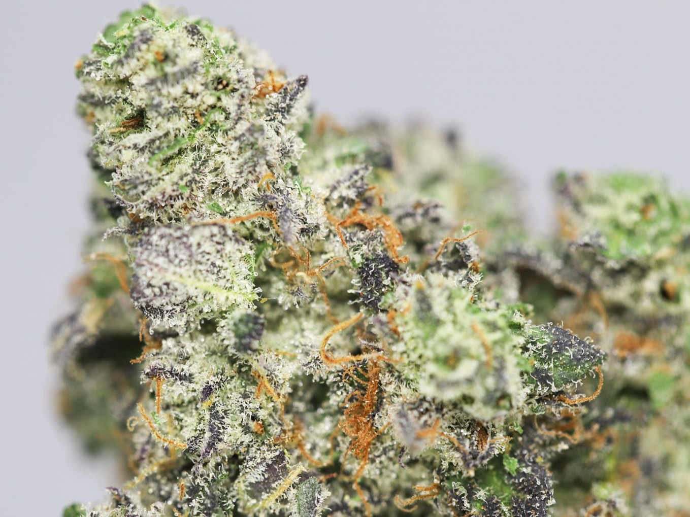 KRFT GREEN APPLE RUNTZ 32 THC.jpg KRFT GREEN APPLE RUNTZ 32 THC.jpg