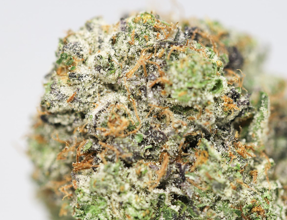 KRFT MIKE TYSON OG CLOSE UP.jpg KRFT MIKE TYSON OG CLOSE UP.jpg