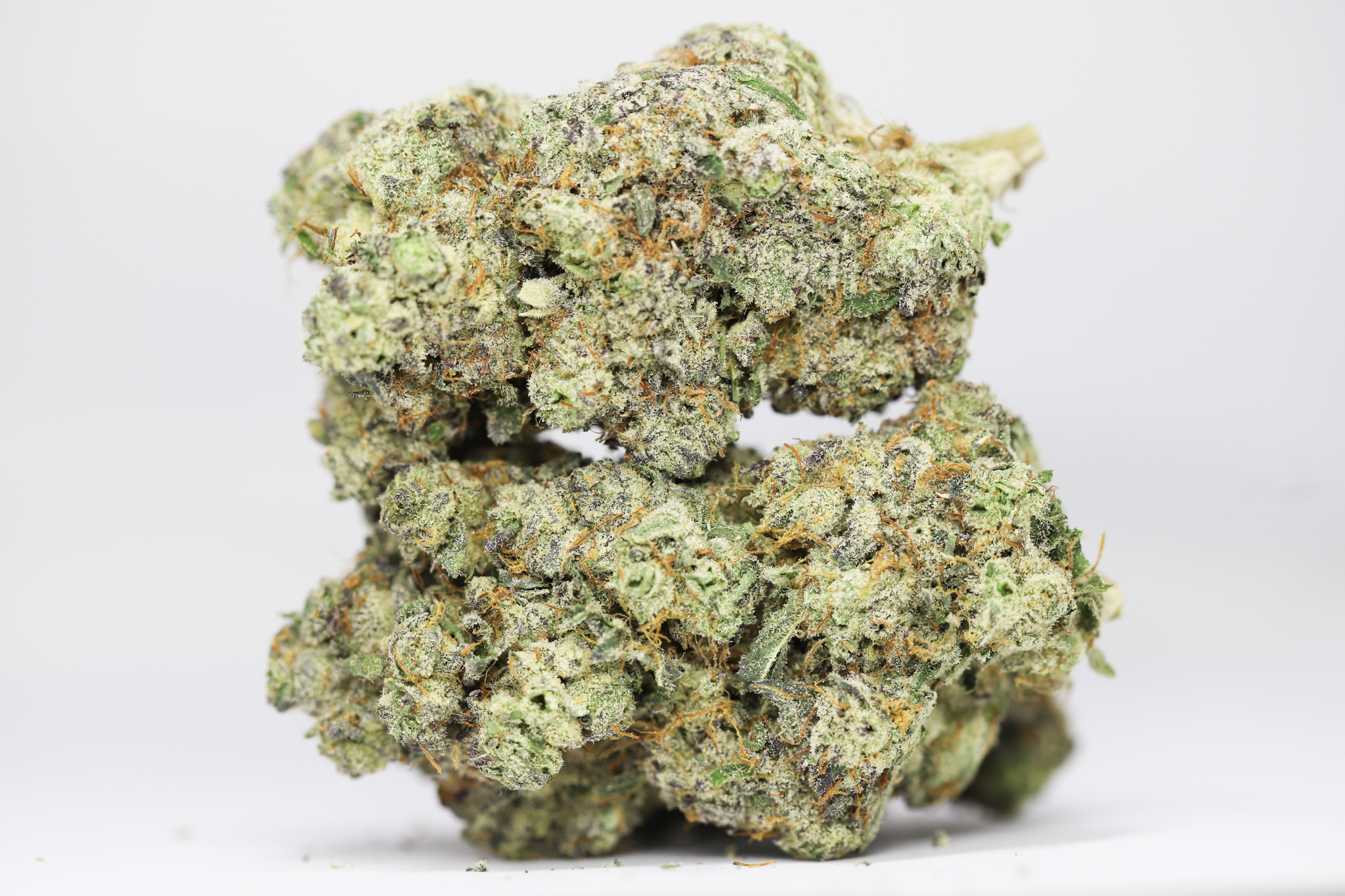 KRFT MINT CHOCOLATE CHIP RESTOCK 2.jpg KRFT MINT CHOCOLATE CHIP RESTOCK 2.jpg