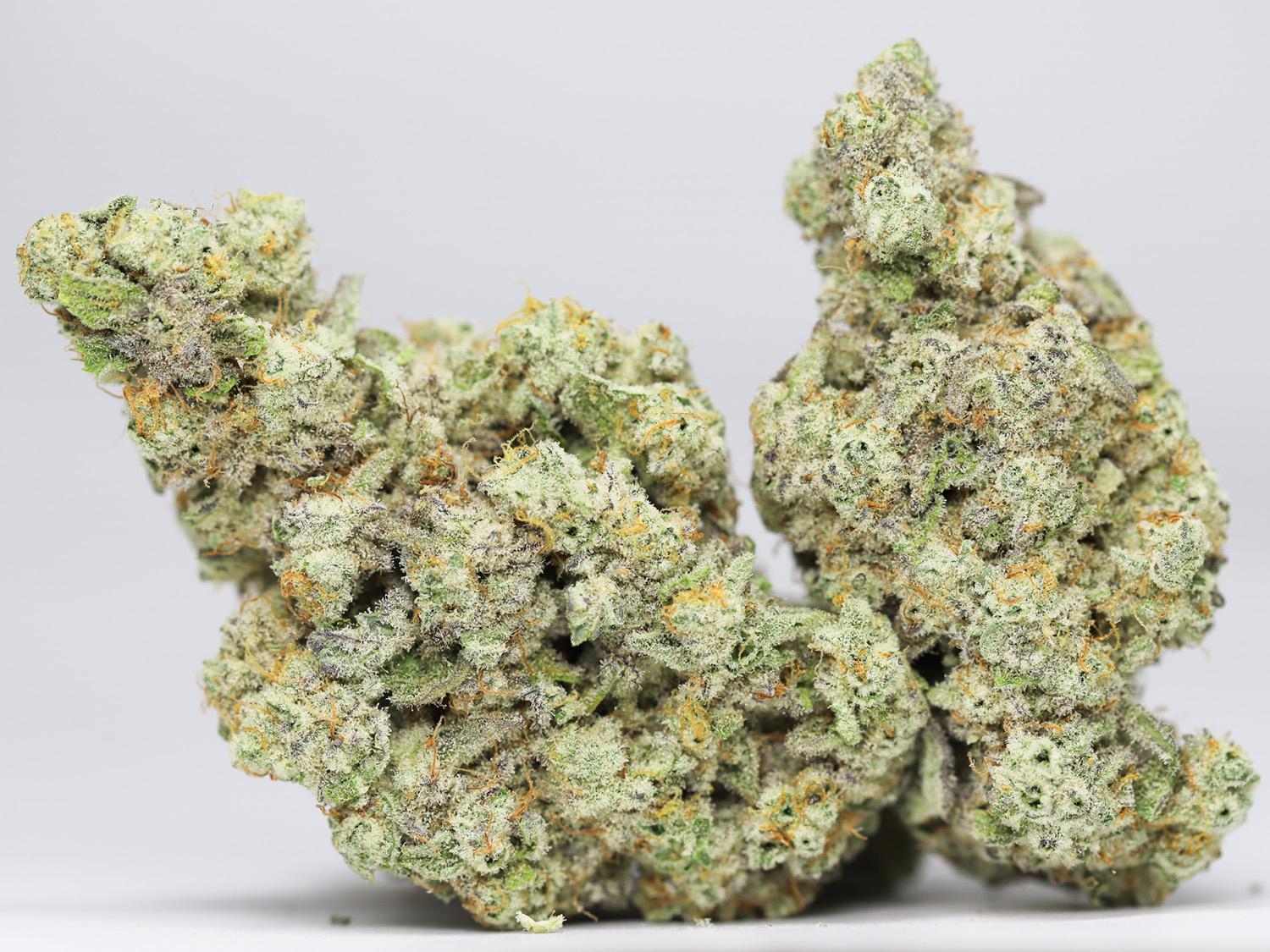 KRFT MRKT CRESCENDO RESTOCK.jpg KRFT MRKT CRESCENDO RESTOCK.jpg